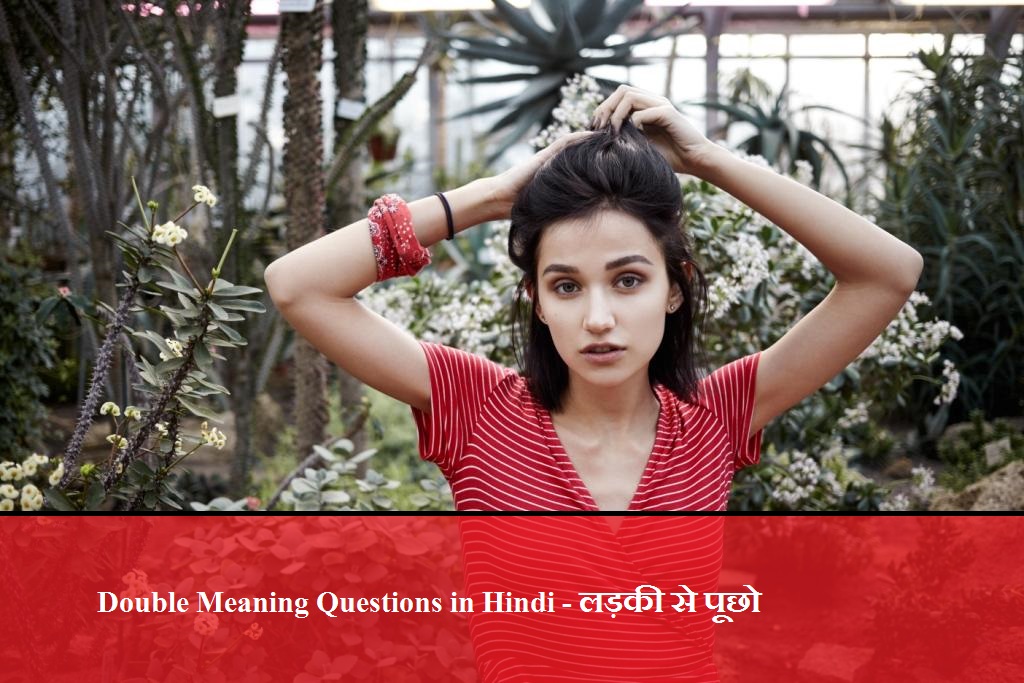 Double Meaning Questions in Hindi